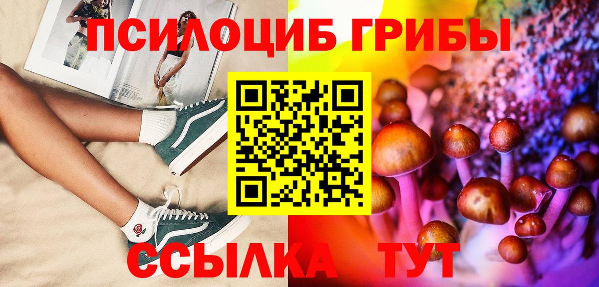 Псилоцибиновые грибы Psilocybe Усинск