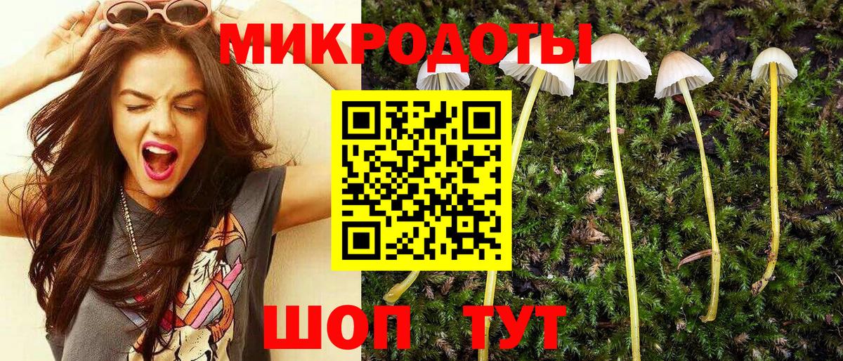 Галлюциногенные грибы Psilocybe  Галлюциногенные грибы Psilocybe  Усинск  Вход с VPN 